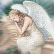 Angel896652