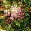 zhilyakova97 zhilyakova97